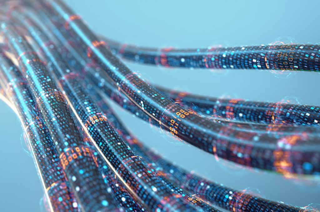 web-cords